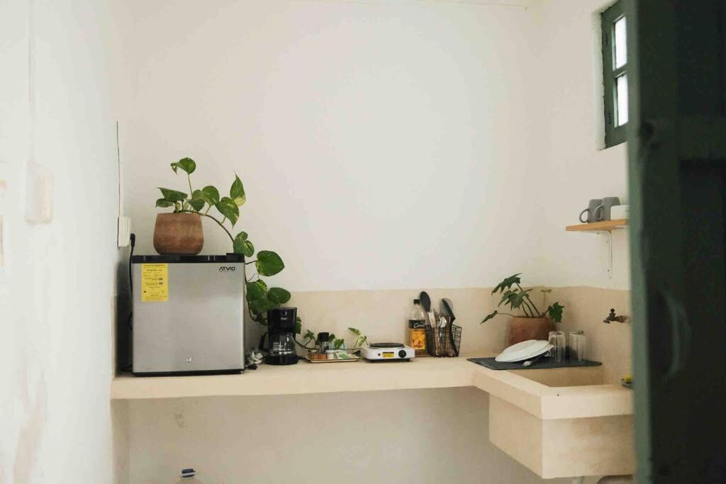 Сasa de vacaciones Casa Yucateca Zama En Santiago. *